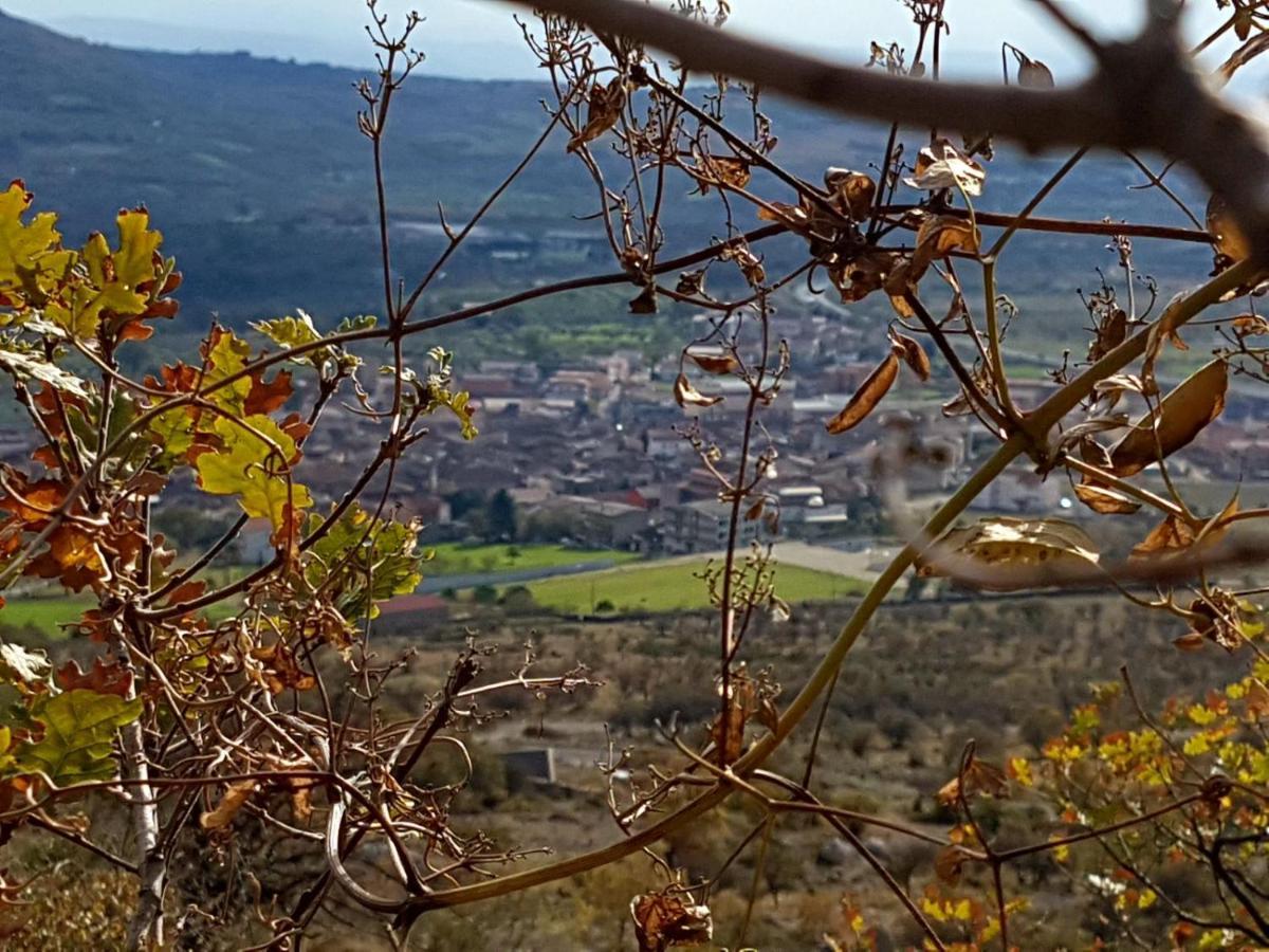 Bed and Breakfast Il Vicoletto Frascineto Exterior foto